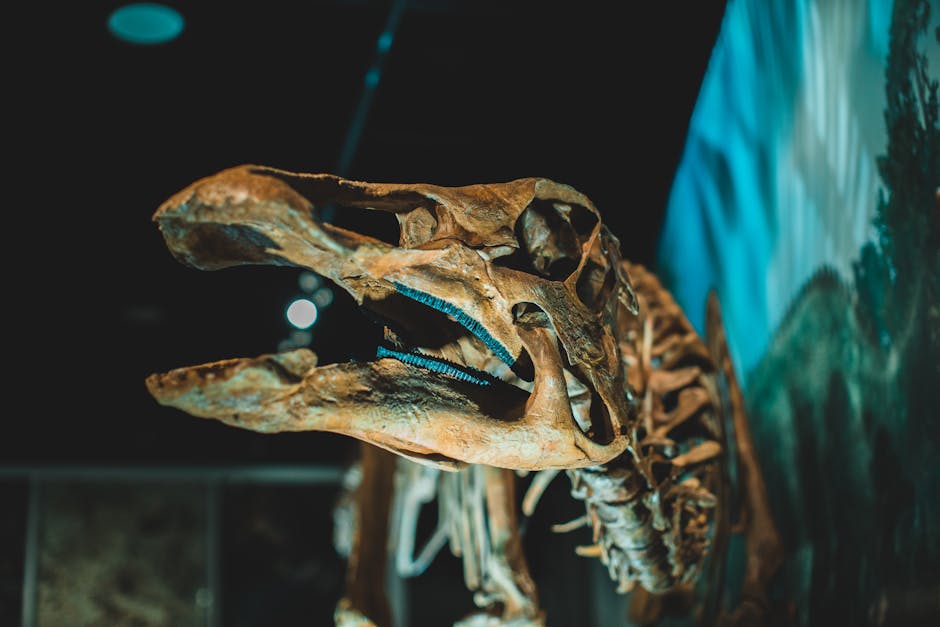 Prehistoric Earth exhibit at Dynamic Earth Edinburgh