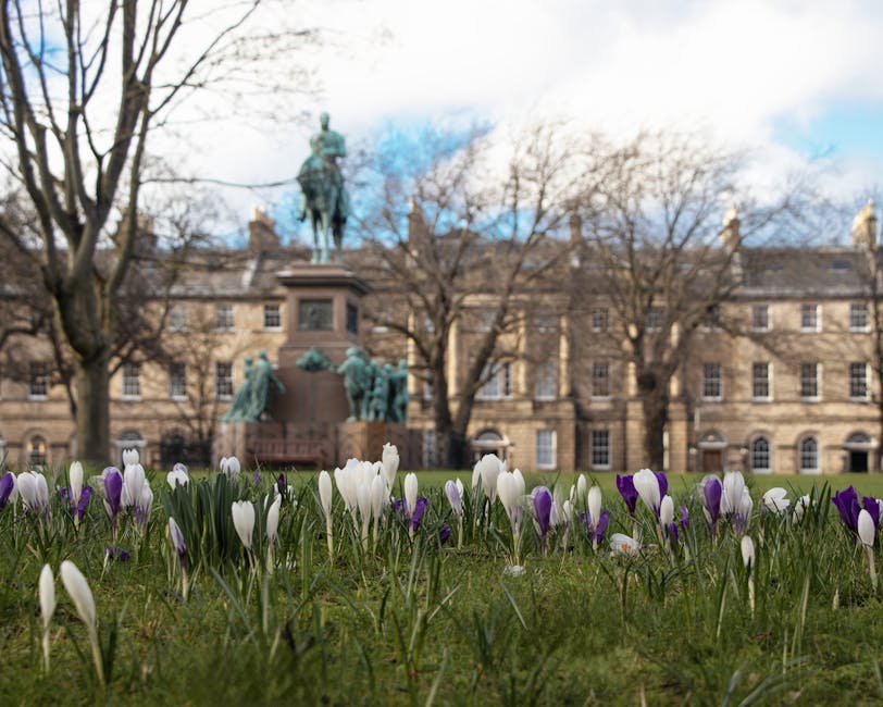 Open green parkland in Edinburgh with paths and trees