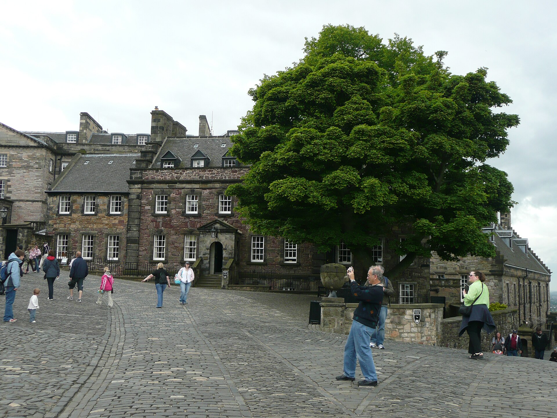 Adults and children cross a cobbled courtyard inside Edinburgh Castle beside a large leafy tree and stone buildings.