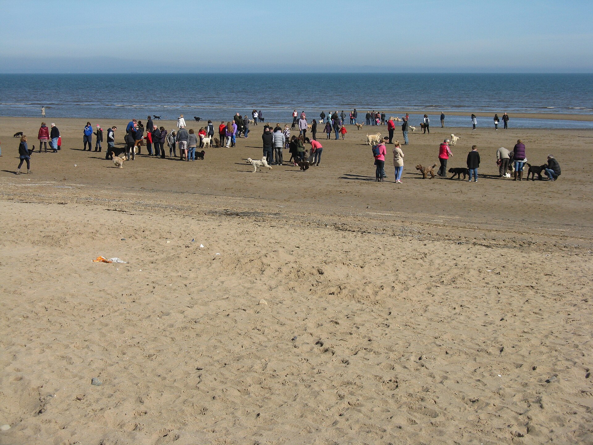 Groups of people and dogs gather across the broad sandy shore at Portobello Beach in Edinburgh under a clear sky.