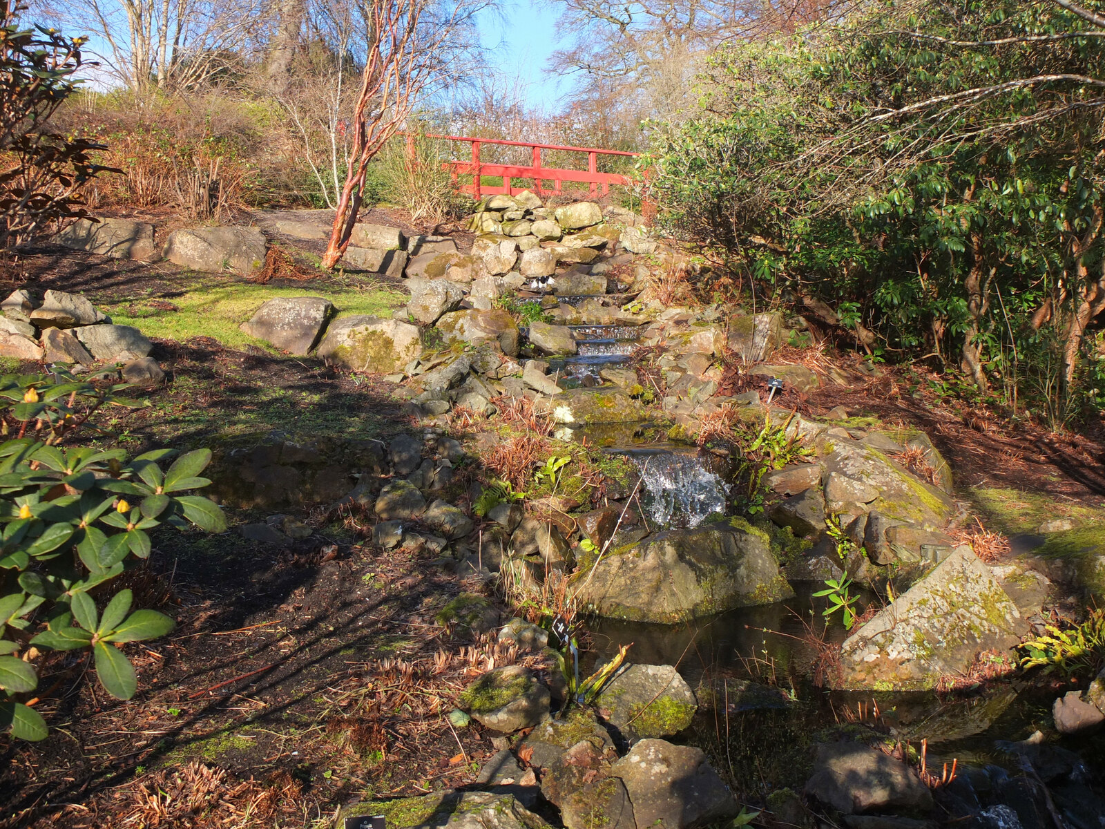 A rocky stream descends beneath a red footbridge on the Chinese Hillside at Royal Botanic Garden Edinburgh.